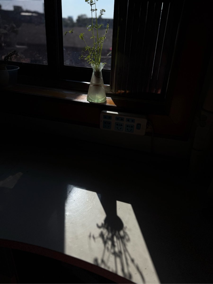 محمد مرسي tweet media