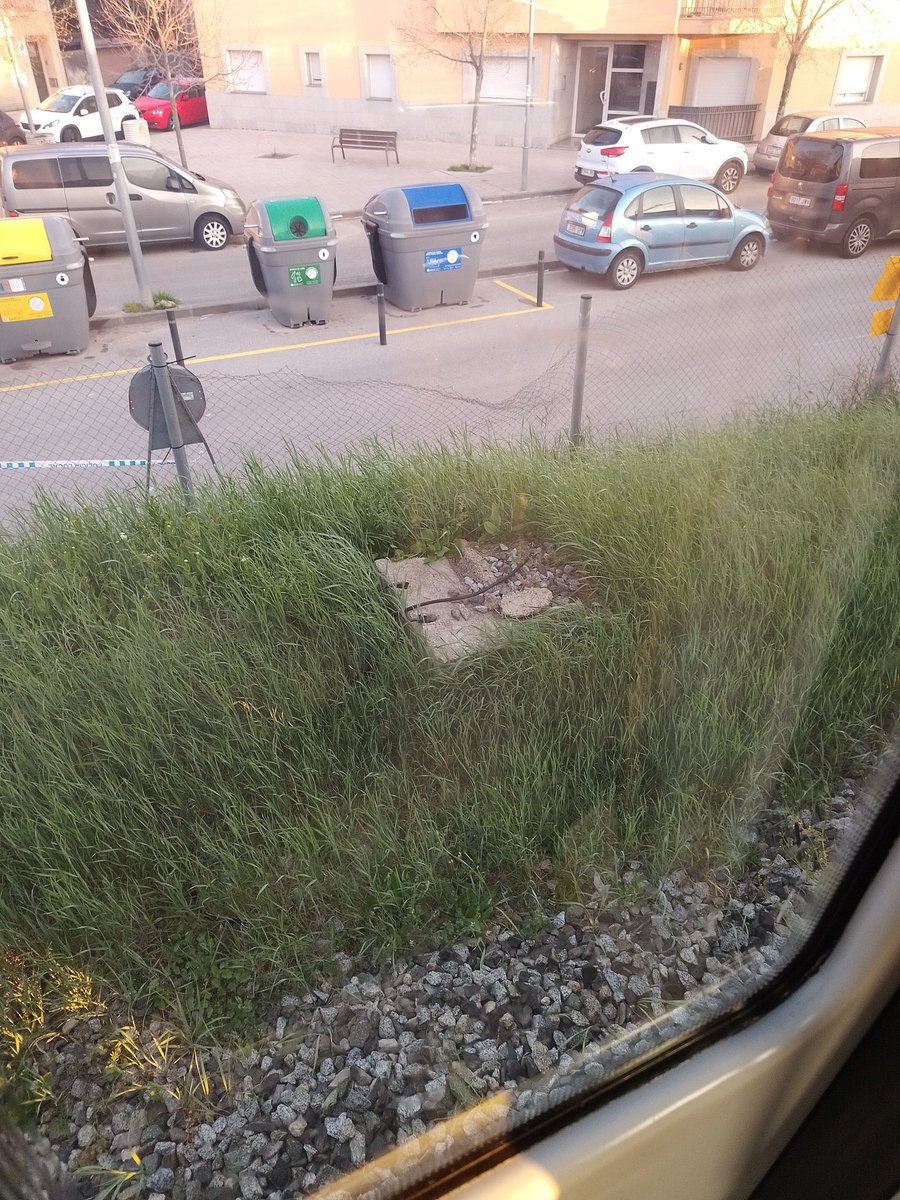 Sílvia Pinto tweet media