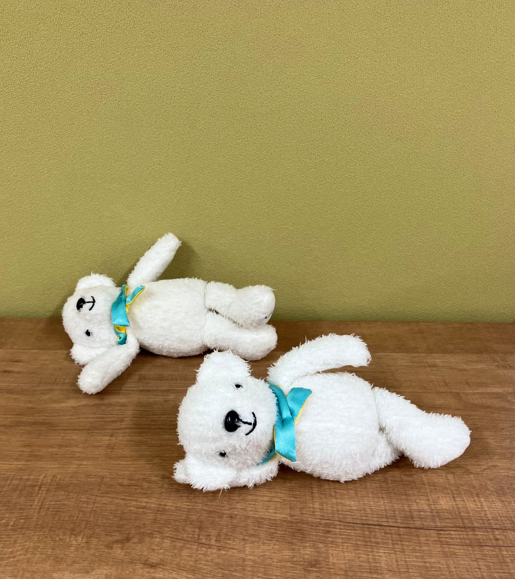 【公式】AIRDO（エア・ドゥ）｜北海道の翼 tweet media