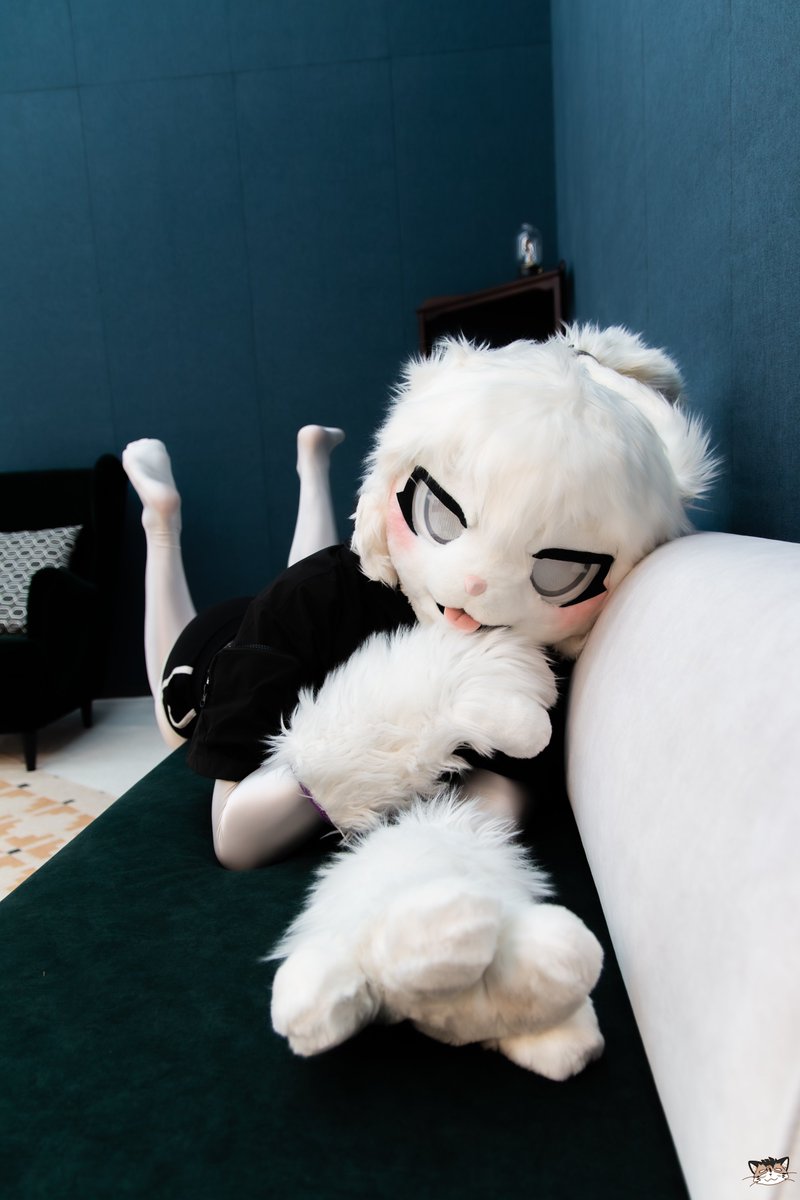 슈가볼_sugarball tweet media