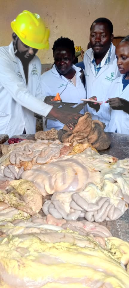 Mildmay Institute of Health Sciences (MIHS) tweet media