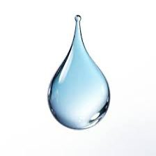 Antoni Gelonch tweet media