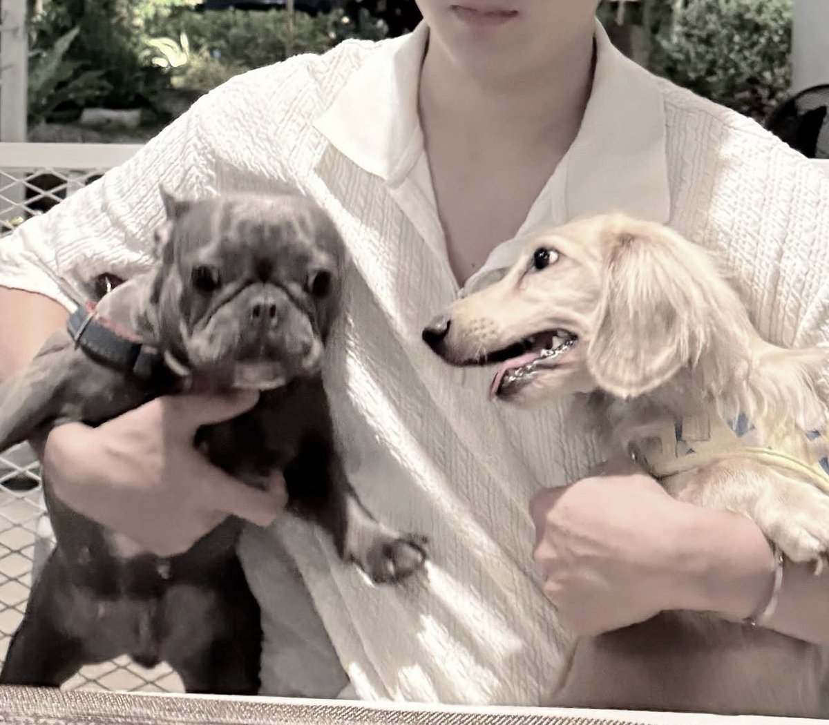 doubleu._ 🥀 tweet media