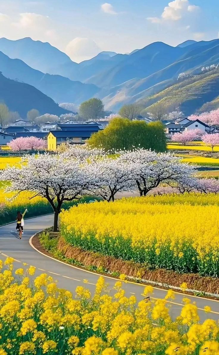 SalehaAzhar5's tweet photo. Beautiful place 🥰 https://t.co/VVd1A0g4Mc