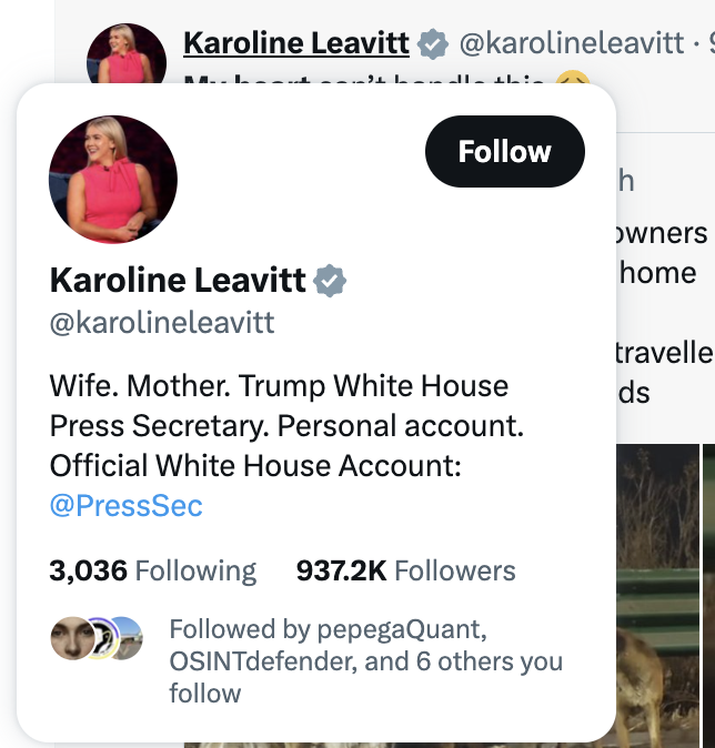 basedfhoul tweet media