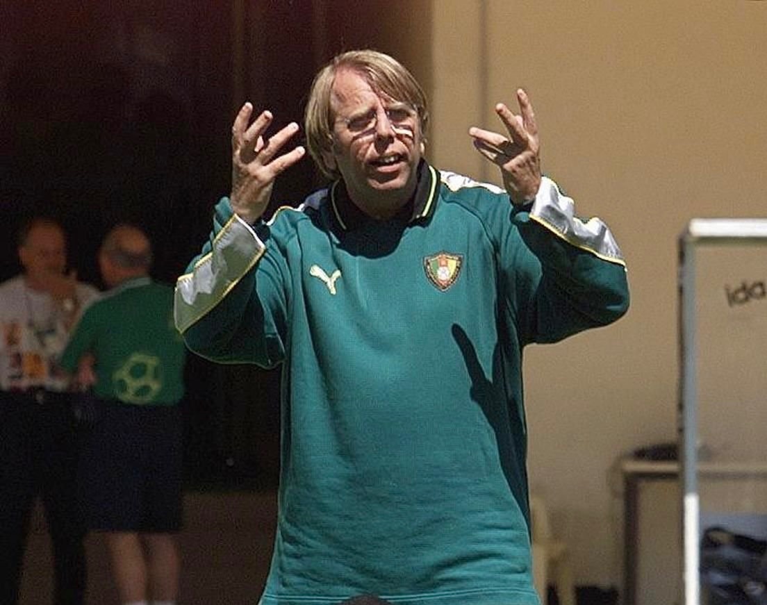 AllezLesLions tweet media