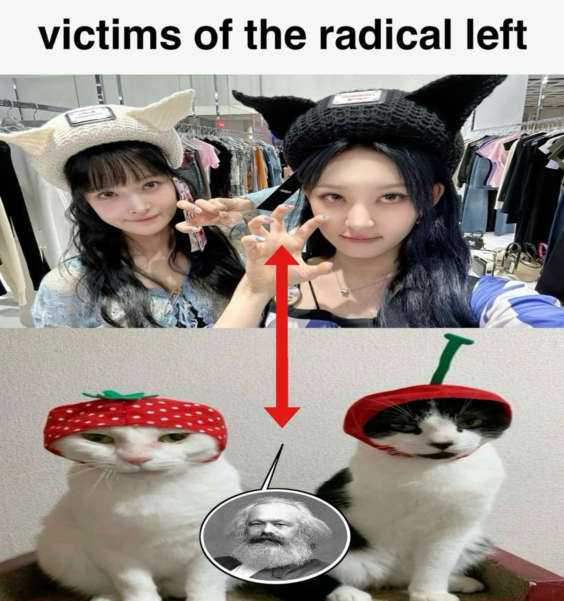 💌 to. my first cricket tweet media