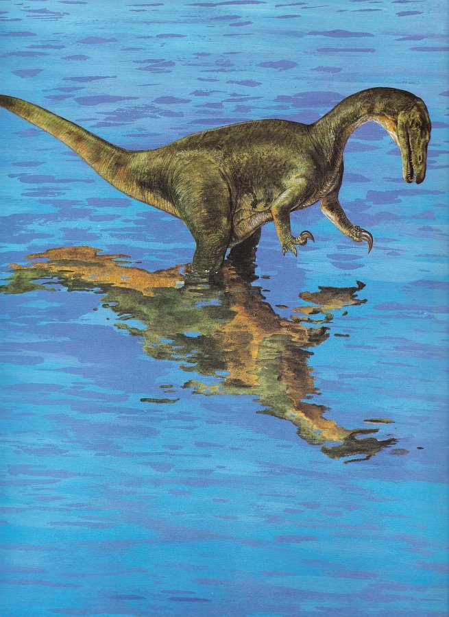 COSMIC 🖖🏾 SLOP tweet media