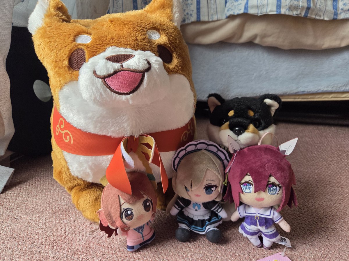 移植2年後のかずトレ(最近ブルアカやってるw) tweet media