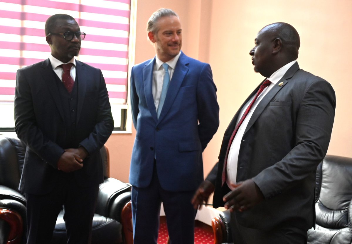 Peter Quest tweet media