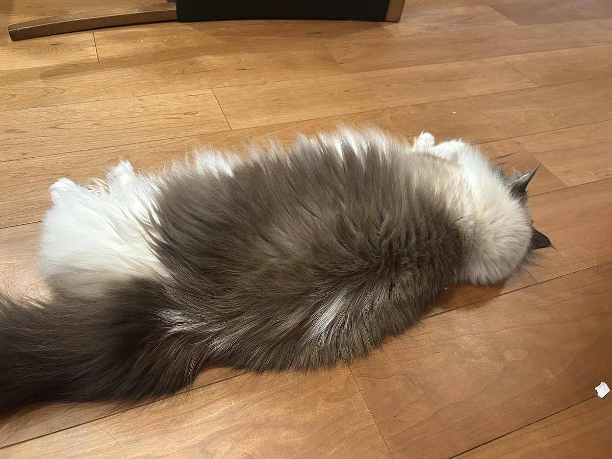 税タガンダム tweet media