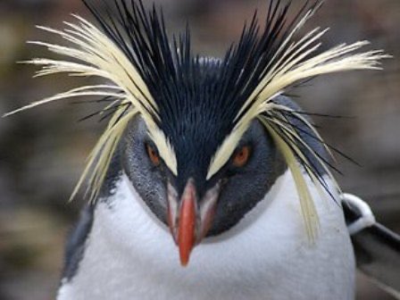 ☘︎ ݁ ✘ายอ ྀི🫧 tweet media