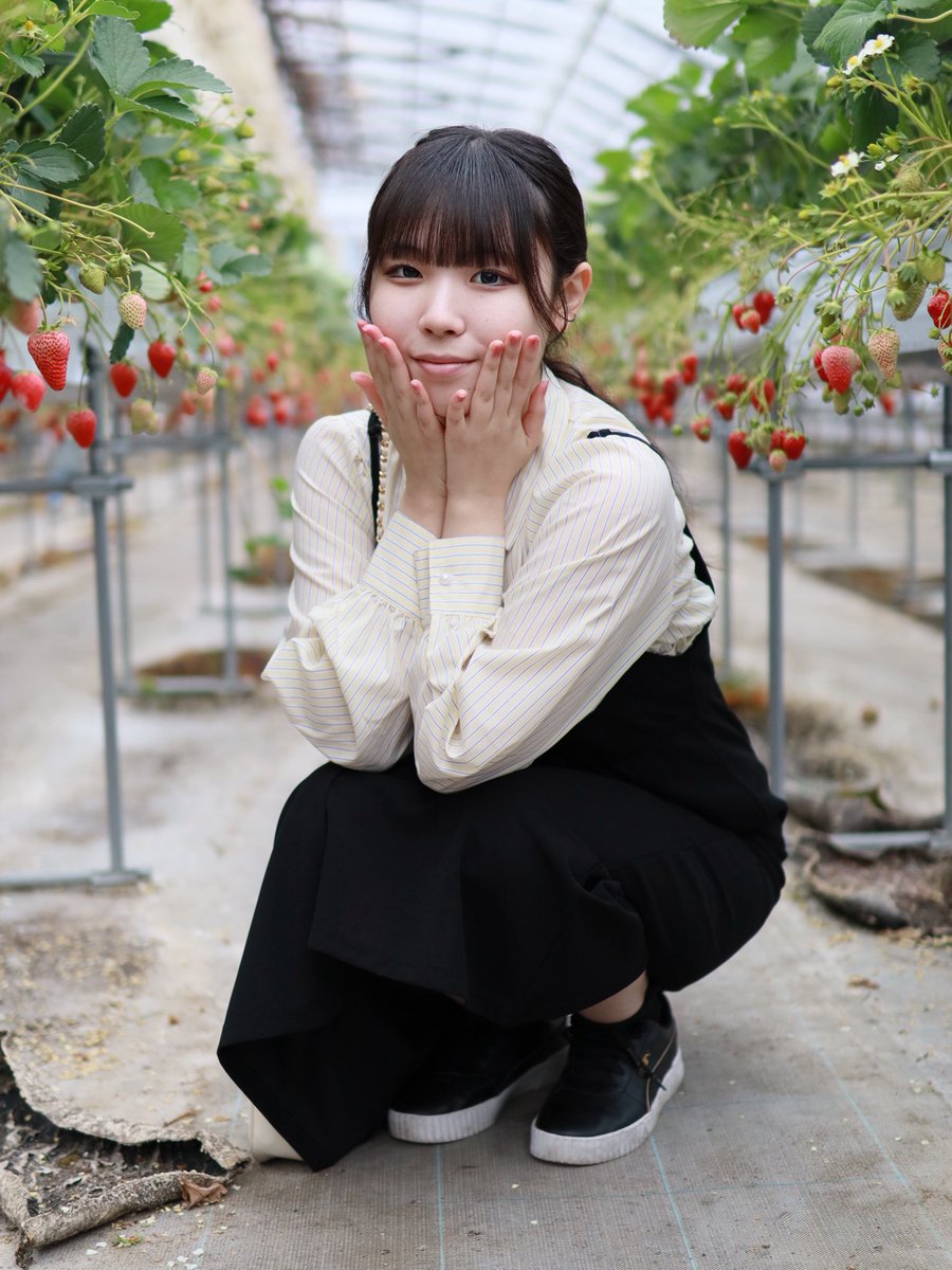 tatikoma_'s tweet photo. 2026年3月22日(日曜日) ラフアロ✖️LILIUM 
SPRINGオフ会

朝活いちご🍓狩り編

#MINORI  #MINORI祭り 
#Disney好き #JD3
#推しの存在が尊い 
#推しが可愛すぎる
#推しを甘やかし隊
#ファインダー越しの私の世界 https://t.co/nioRn6qUVm