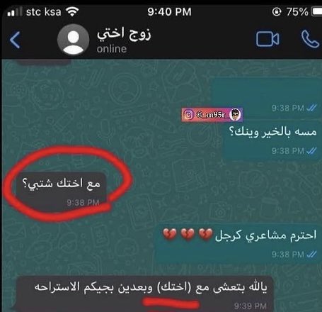 كبشتينه tweet media