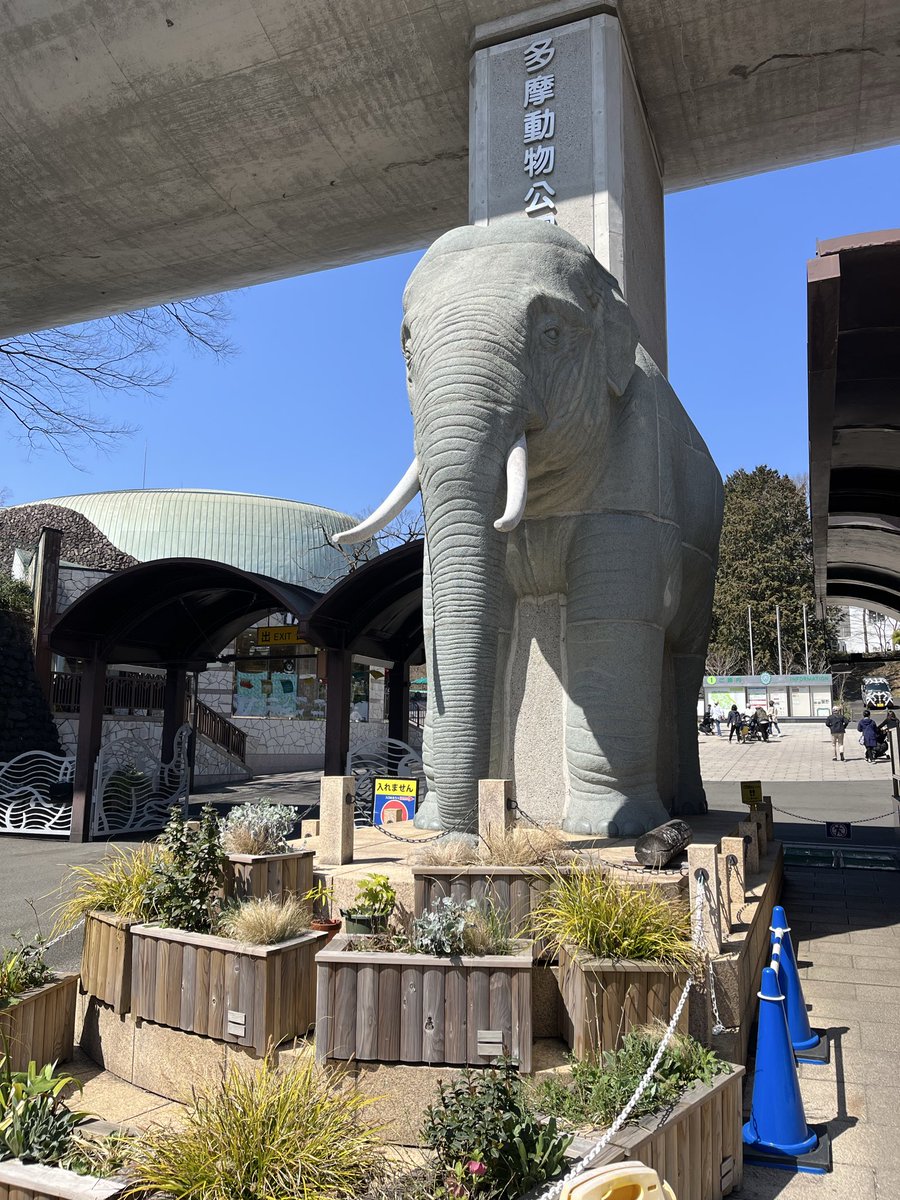 Thunderkilla tweet media