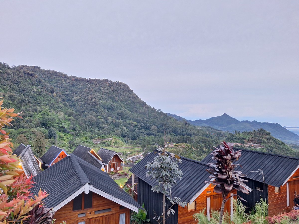 ami 𓂋๋ tweet media