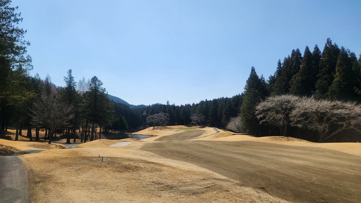 ミコ★miko★ゴルフ⛳ tweet media