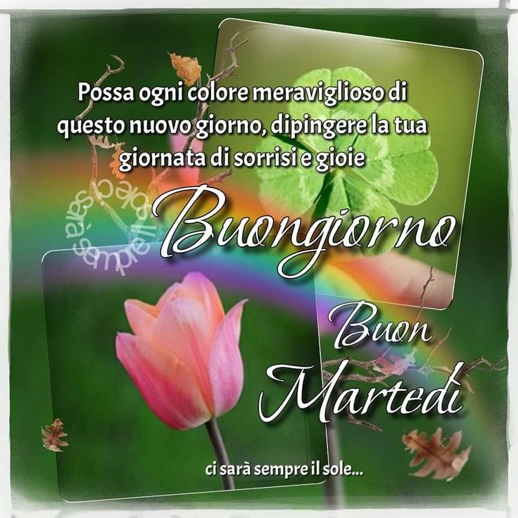 Matteo tweet media