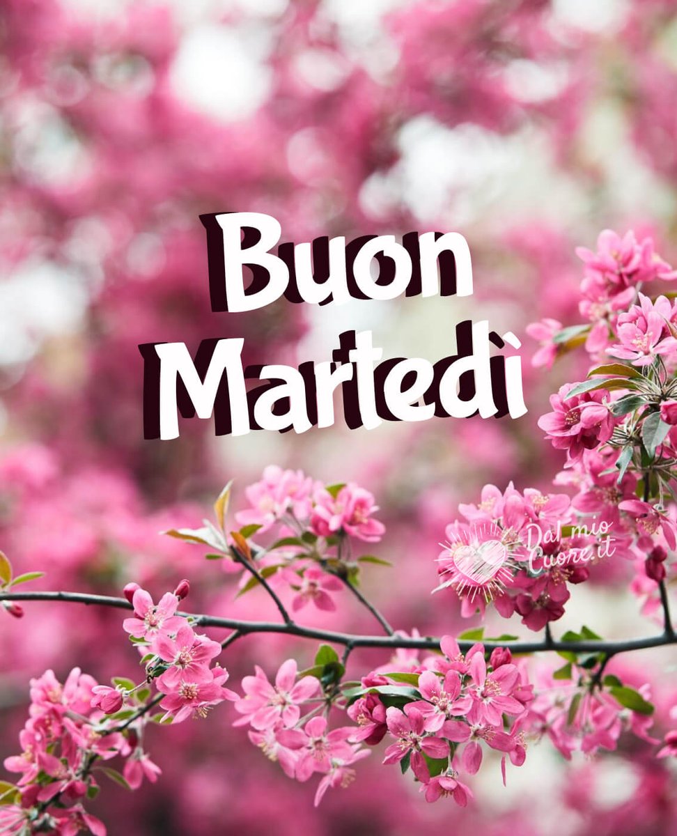 Matteo tweet media