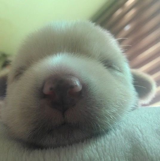 냐냐냥 tweet media