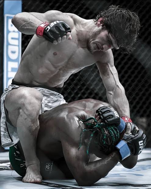 Movsar Evloev tweet media