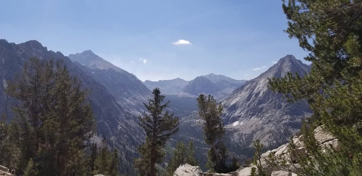 katjainstitute.bandcamp.com/album/souls-of…
thealexjonesstore.com/products/alex-…