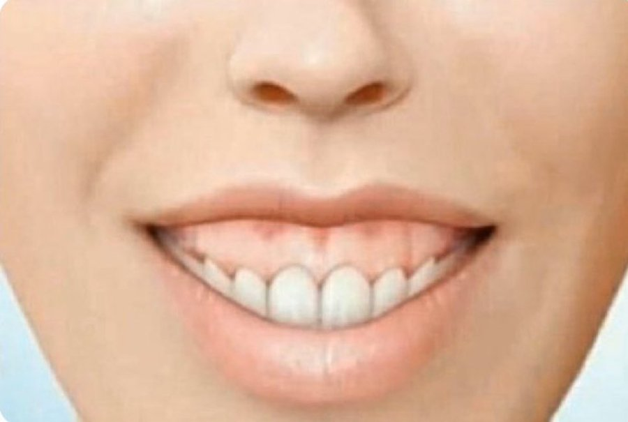 Margaret Meloni🇦🇷🇧🇷🌷 tweet media