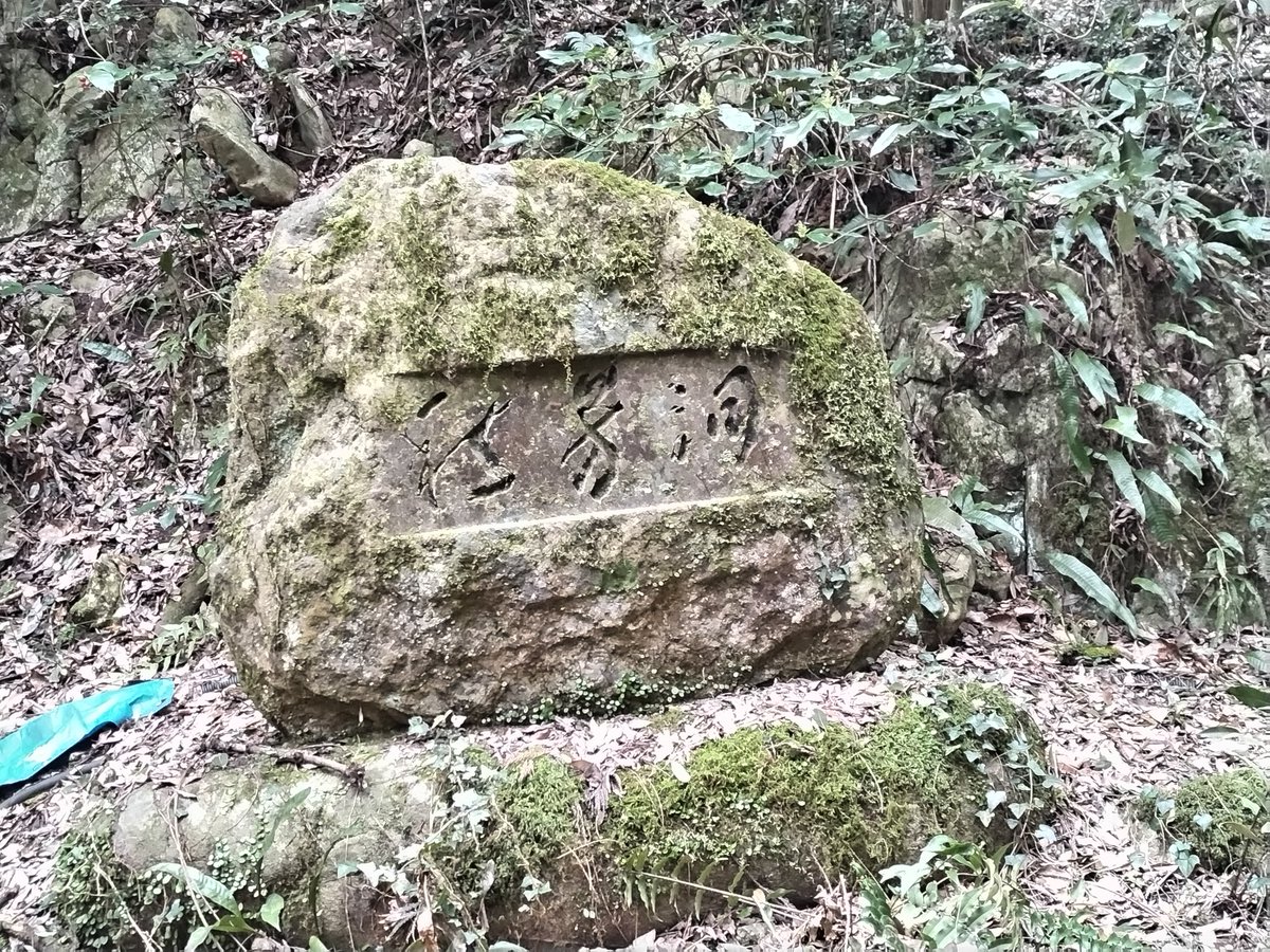 医科浪す tweet media