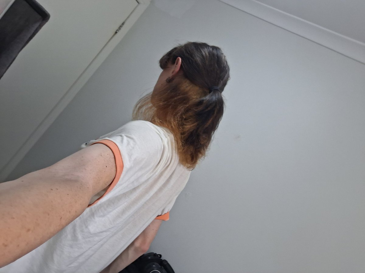 Silly Fox Girl :3 ☭🏳️‍⚧️🇵🇸 tweet media