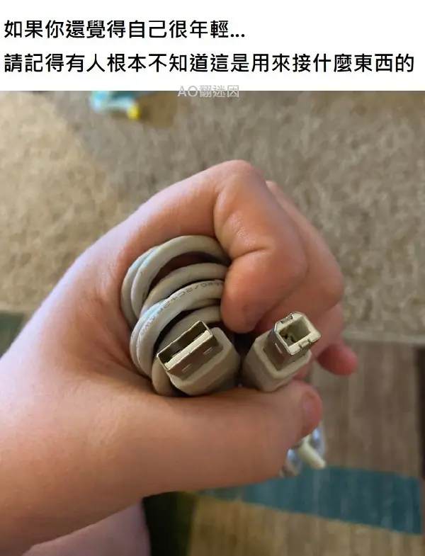 喝味全的味铨🍥 tweet media