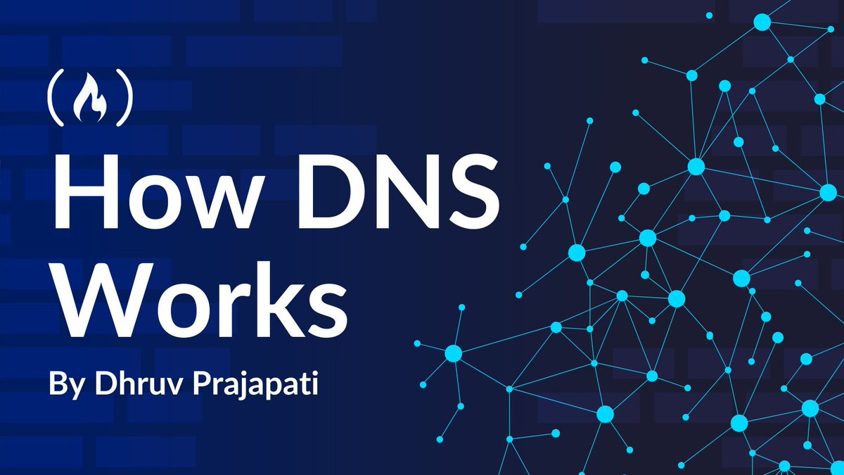 freeCodeCamp.org tweet media