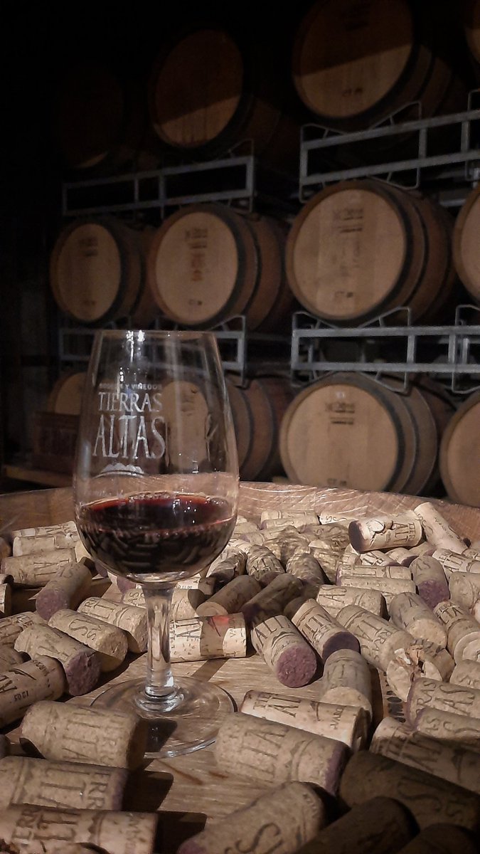 Hubert 🐞 tweet media