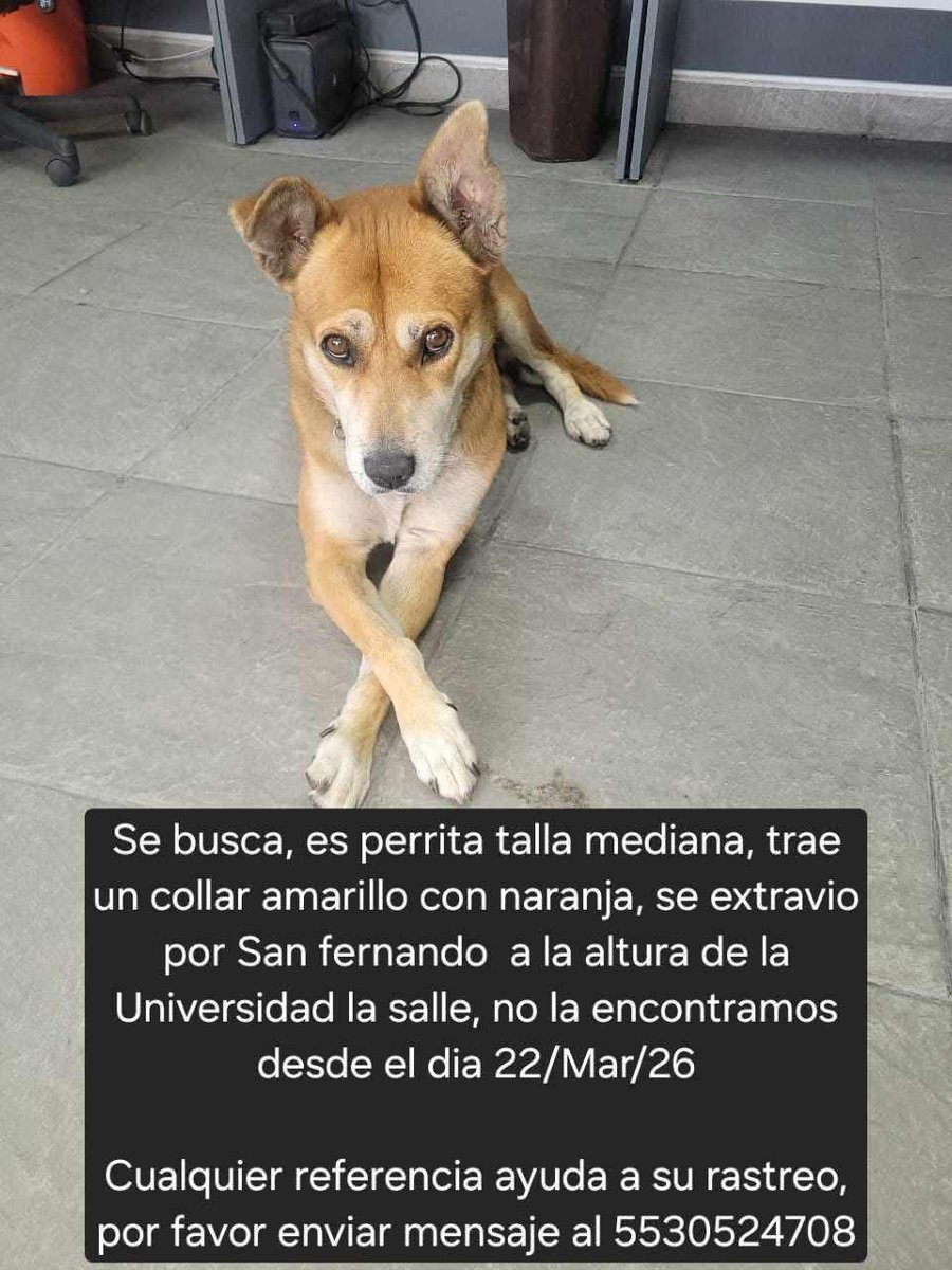 Marumar 🌺 tweet media