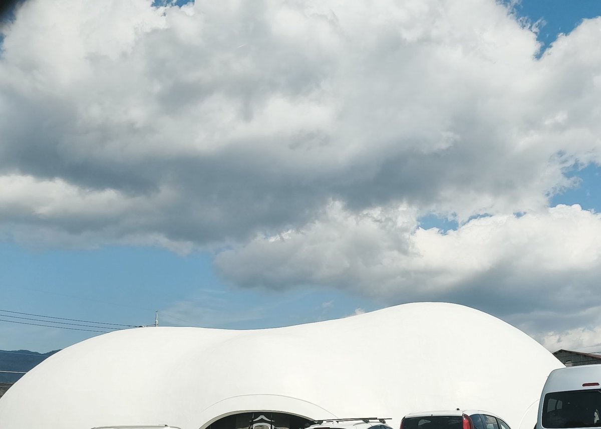 cocoon RAY tweet media