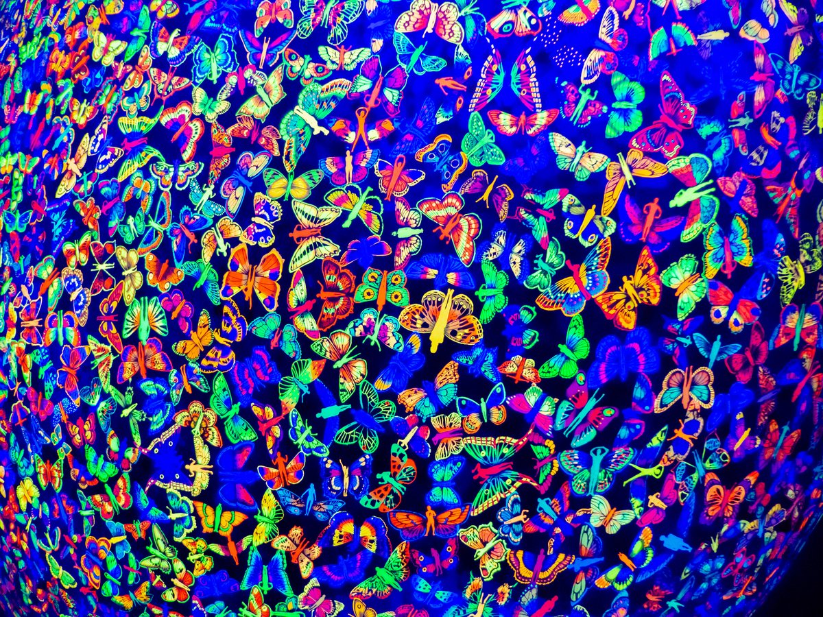 manimanium tweet media