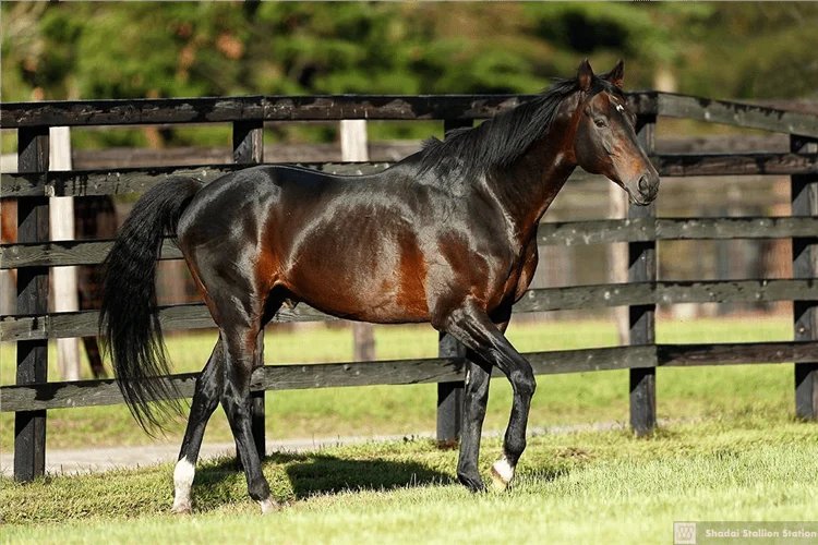 Javier I. Farache tweet media