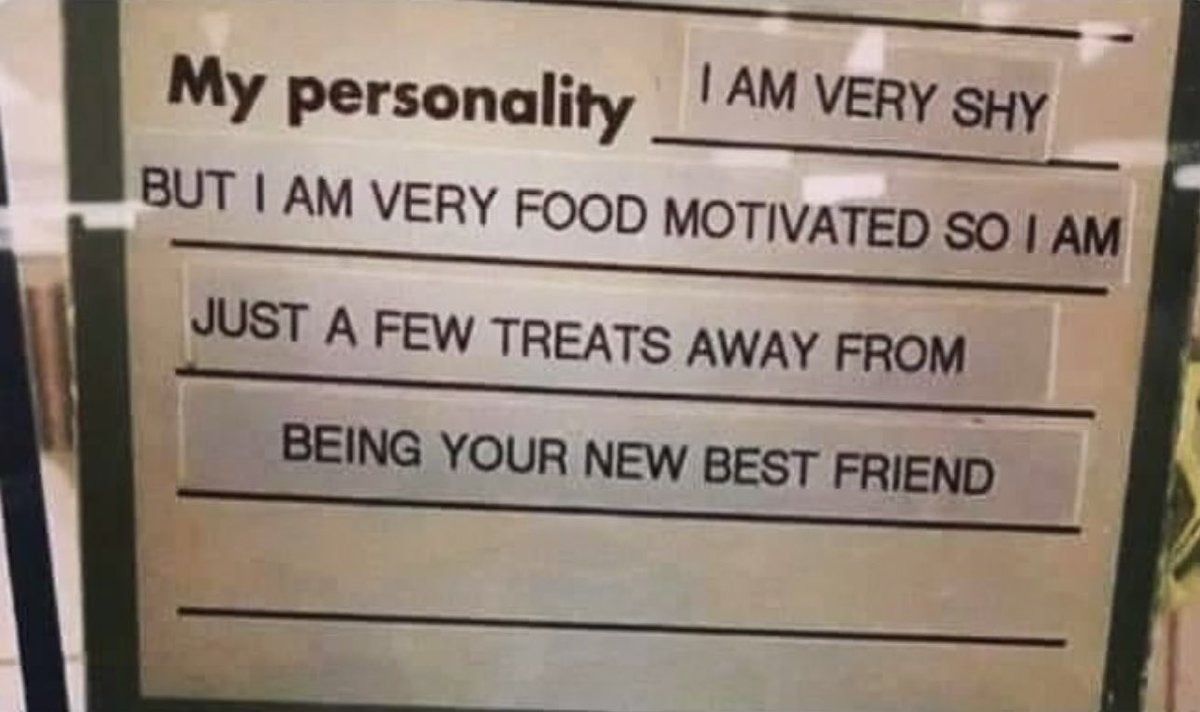 Alex Neumann tweet media