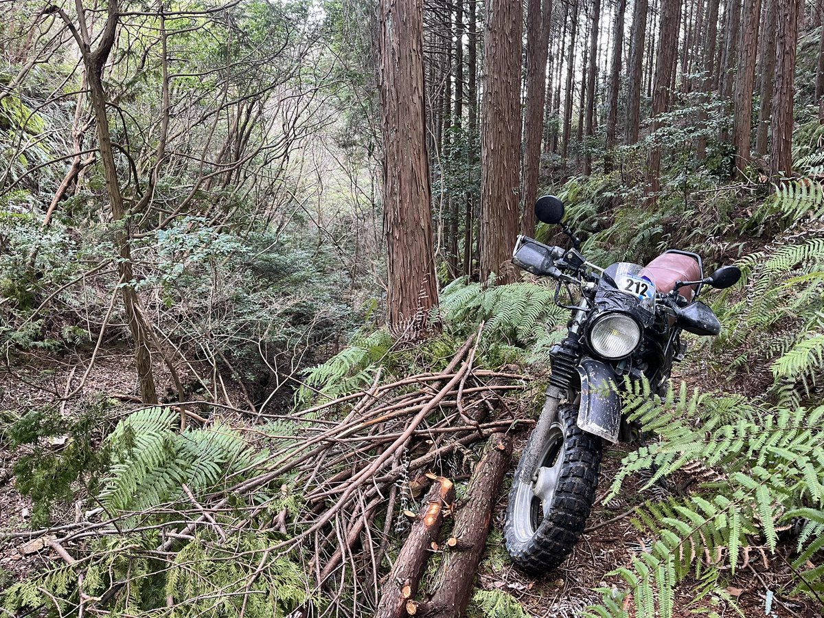 オフバンちゃん😇 tweet media