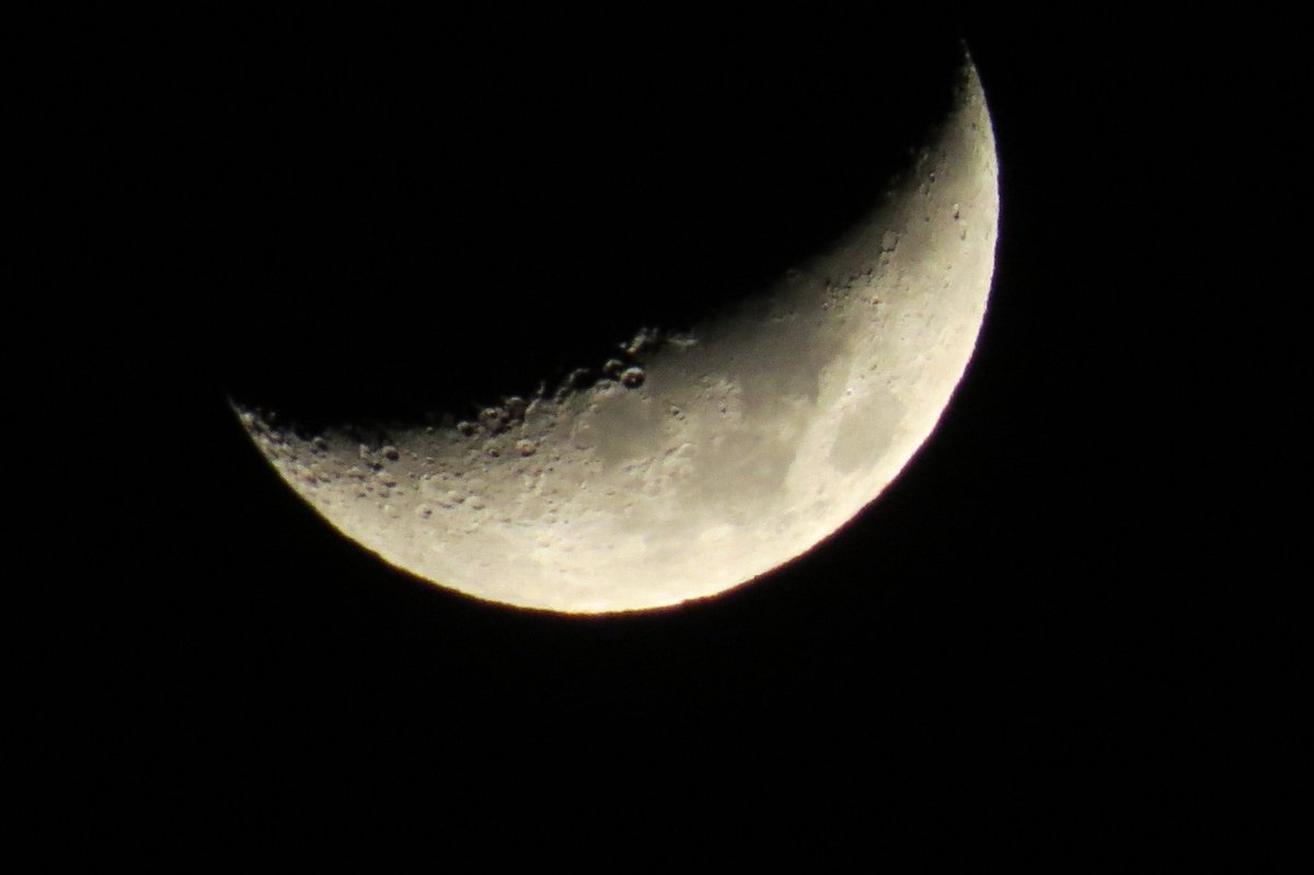 jax ☘️ tweet media