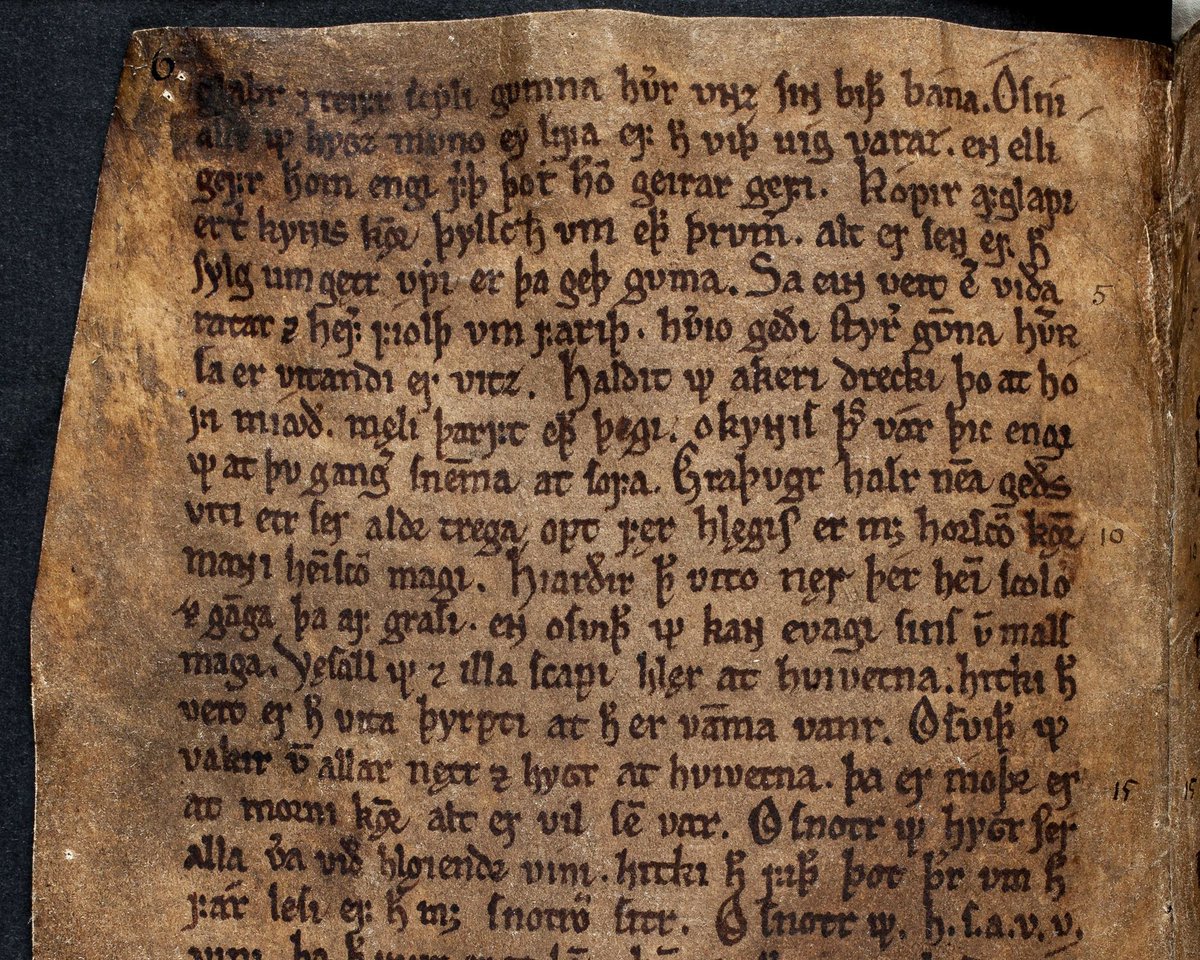 Sagnamaðr Stark tweet media