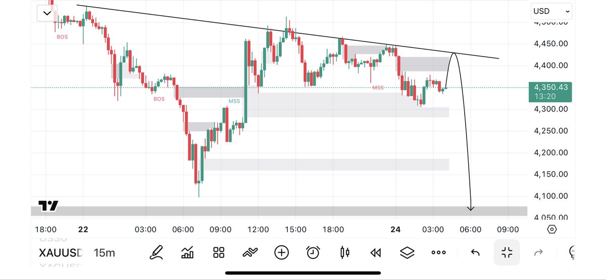 𝐇𝐀𝐃𝐃𝐘 𝐅𝐗 tweet media