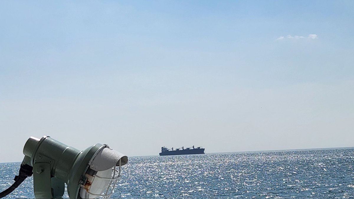 フグ刺しタコス tweet media