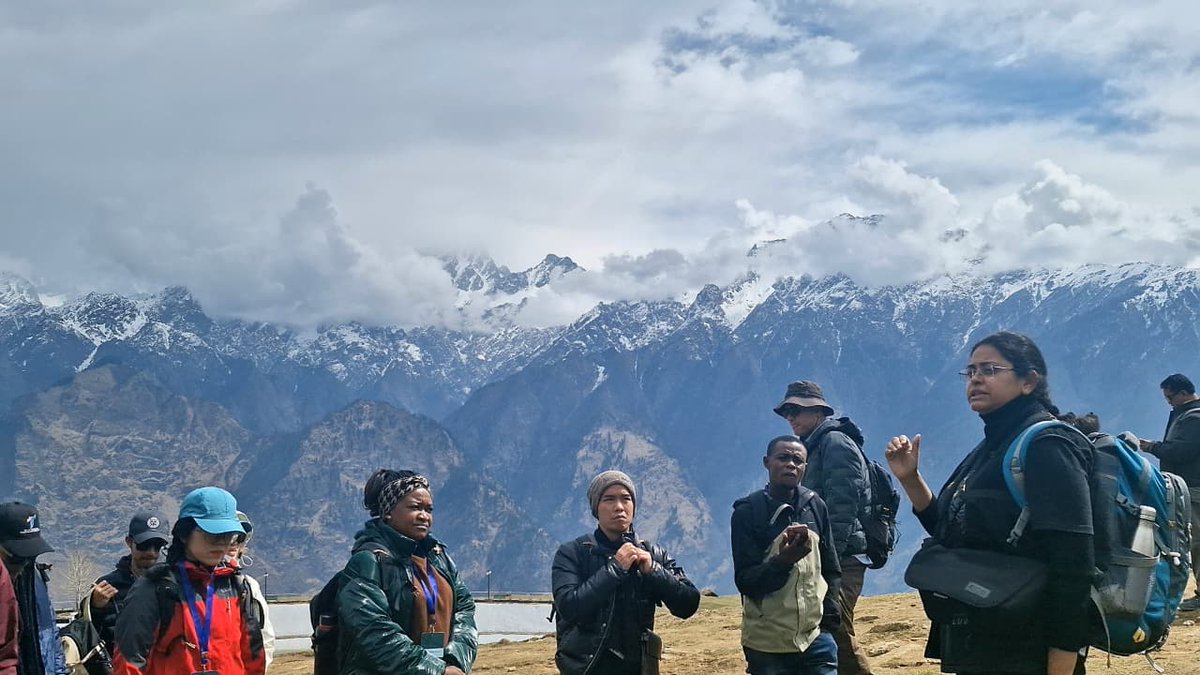 Wildlife Institute of India tweet media