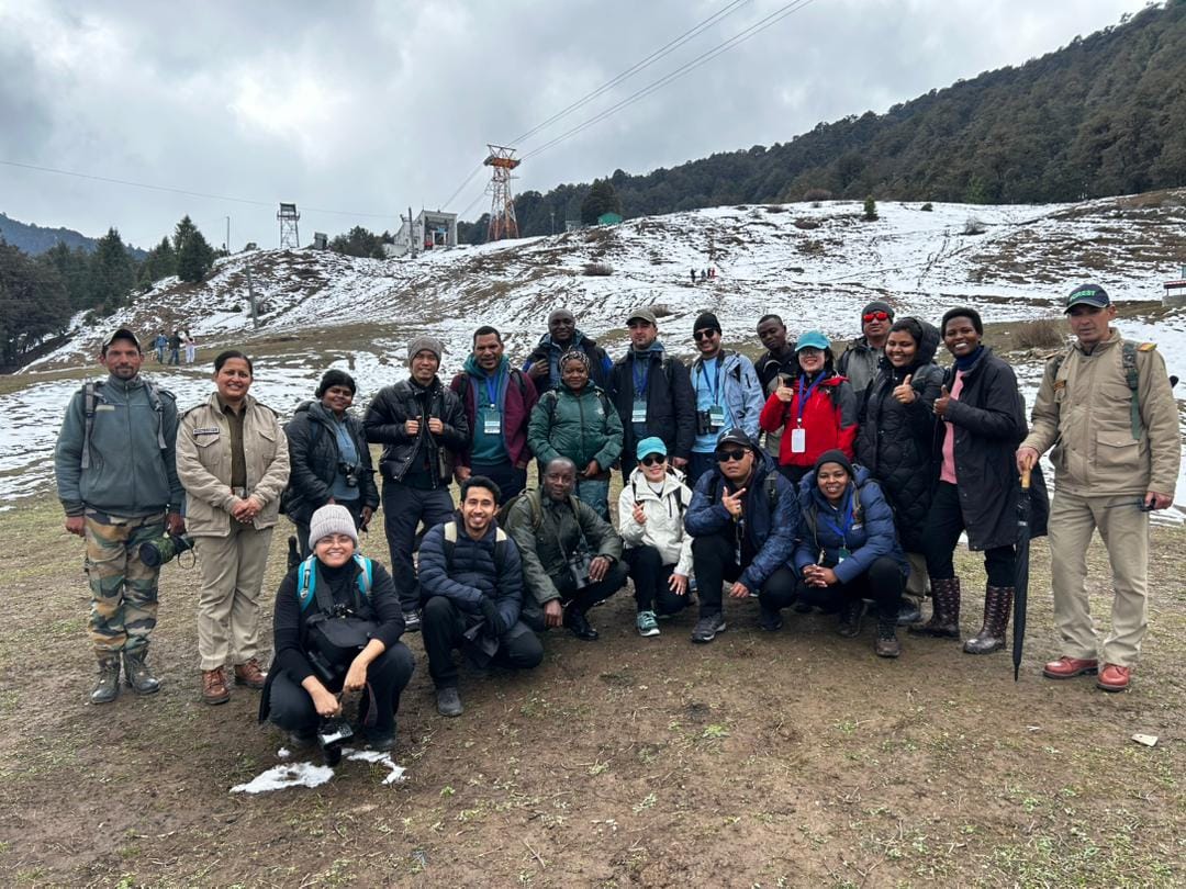 Wildlife Institute of India tweet media