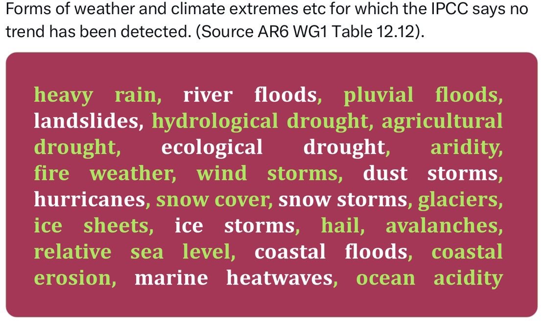 jefemundo tweet media