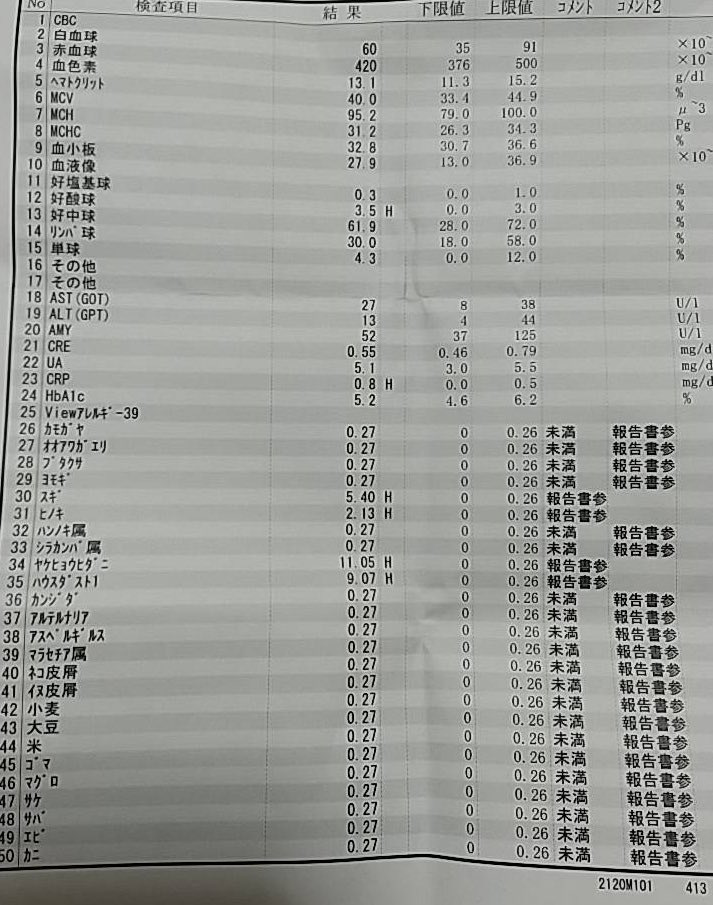 大園 みゆう tweet media