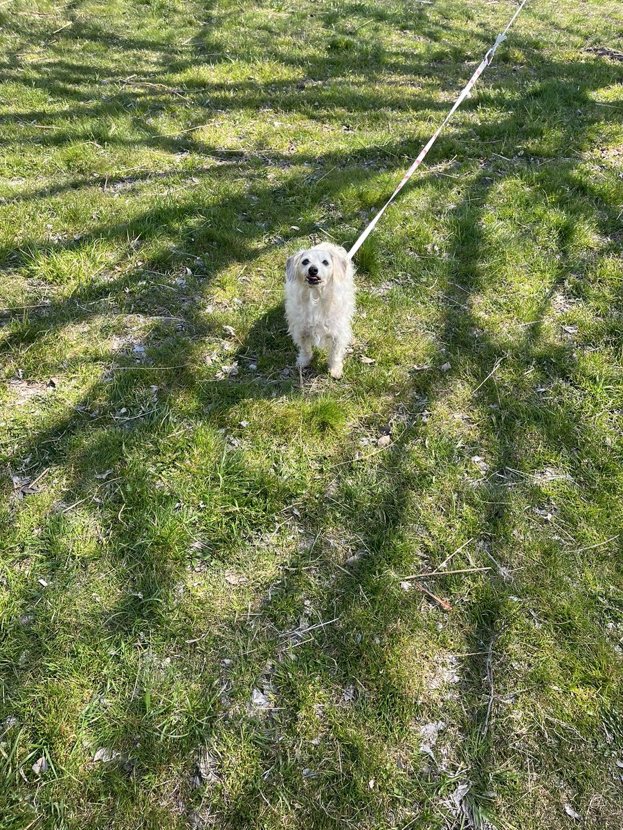 【月曜】ネガティブカフェ&バー モリオウチ　【火水木金土日】個室ミニ水そうカフェ＆バー モリオウチ tweet media
