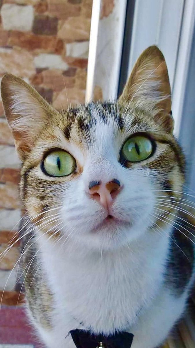 ✨CaNSıN✨ tweet media