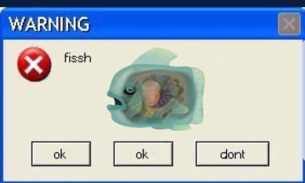 마,로💥 tweet media