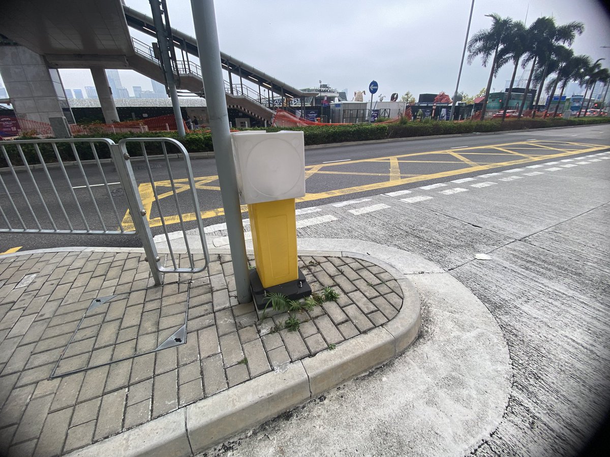 Felix Ip tweet media